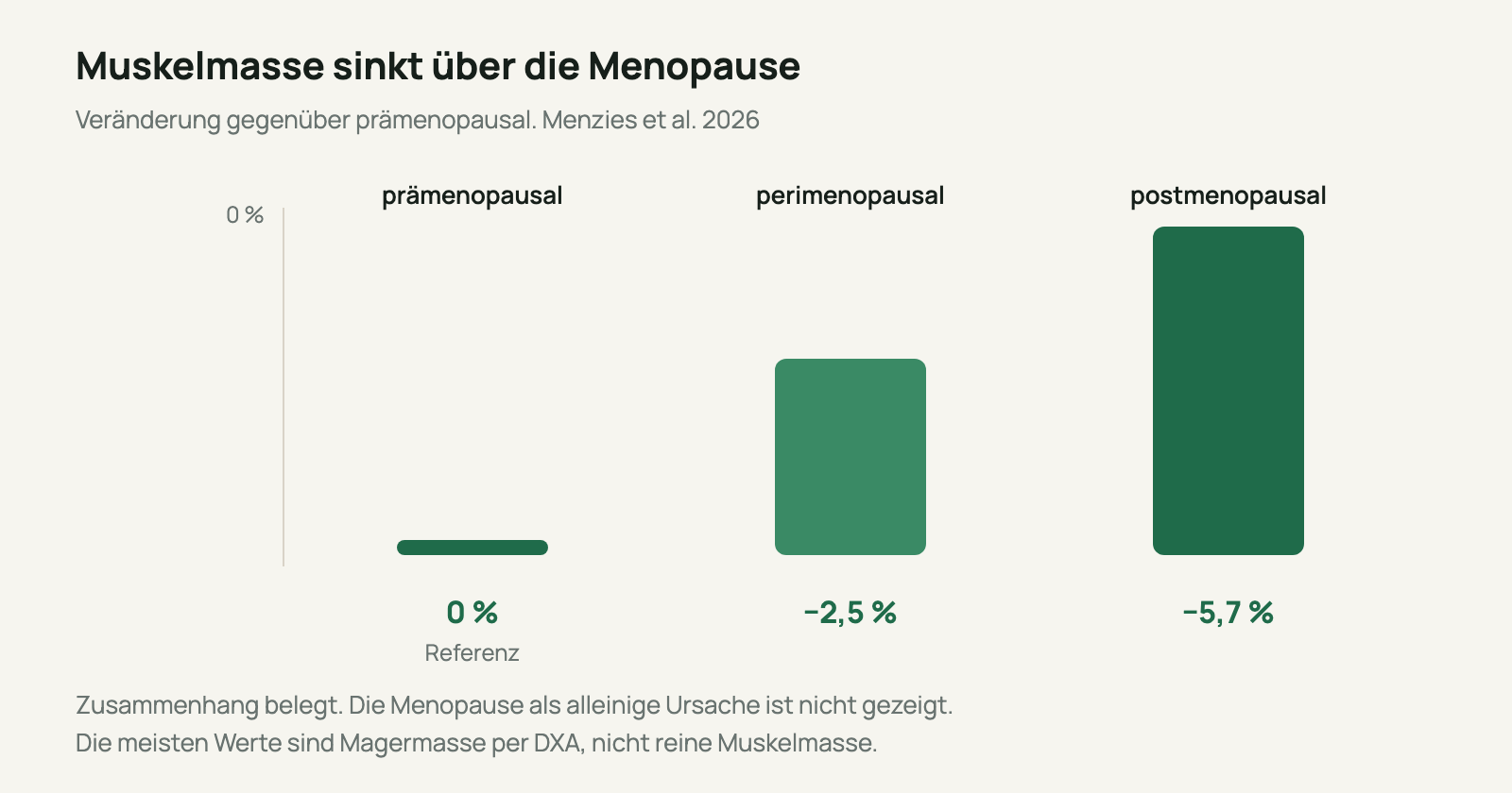 Balkendiagramm: Muskelmasse gegenüber prämenopausal, 0 Prozent prämenopausal, minus 2,5 Prozent perimenopausal, minus 5,7 Prozent postmenopausal.